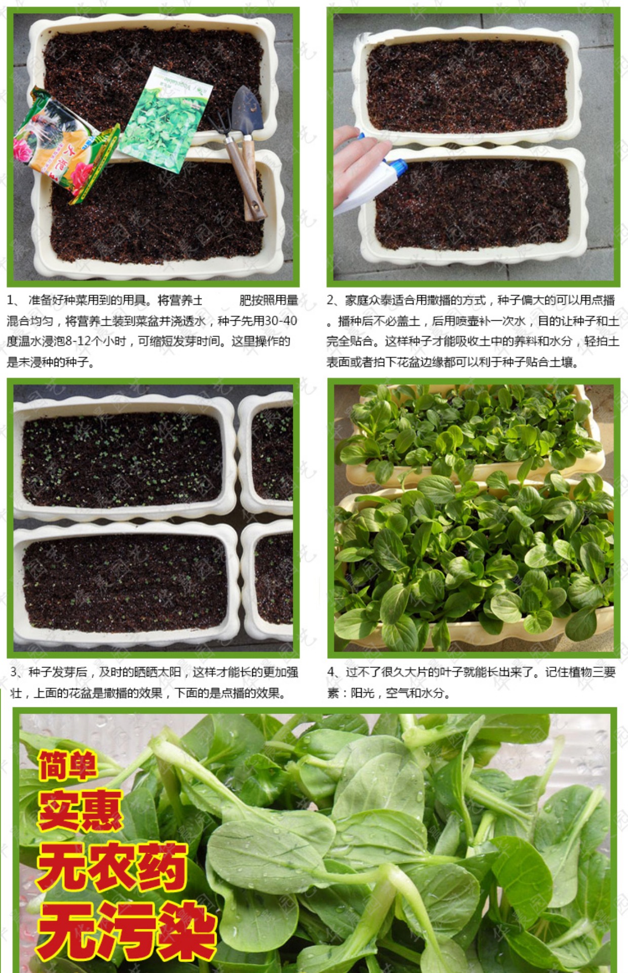 四季可种植巨型甜蜜南瓜白糖罐果蔬种子家庭阳台种菜蔬菜种子