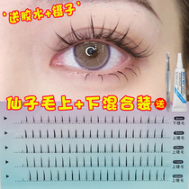 Single root fairy hair false eyelashes single Cluster A- type fairy hair mixed with segmented natural simulation hair self-grafting