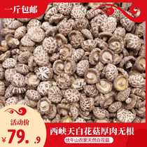 Xinkang Henan West Channel Special Cut Feet Class Skyroom Dry Winter Mushroom 500g Root - free Wood Mushroom