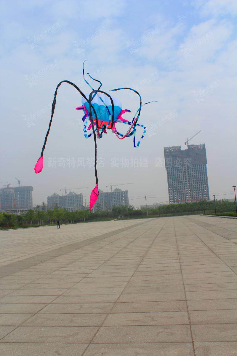 魔域之花 霸王花 自产自销 2016款 原创软体风筝 彩绘水母 - 风筝