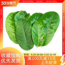 Fresh Lemon Leaves Green Lemon Leaf Thai Winter Yin Gong Soup Material 500g West Meal Seasoning Cured Cooking Spices