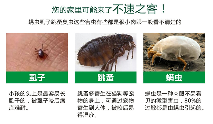 蚤立清喷剂除虱子跳蚤螨虫蜱虫宠物猫狗体外驱虫杀卵哺乳怀孕可用