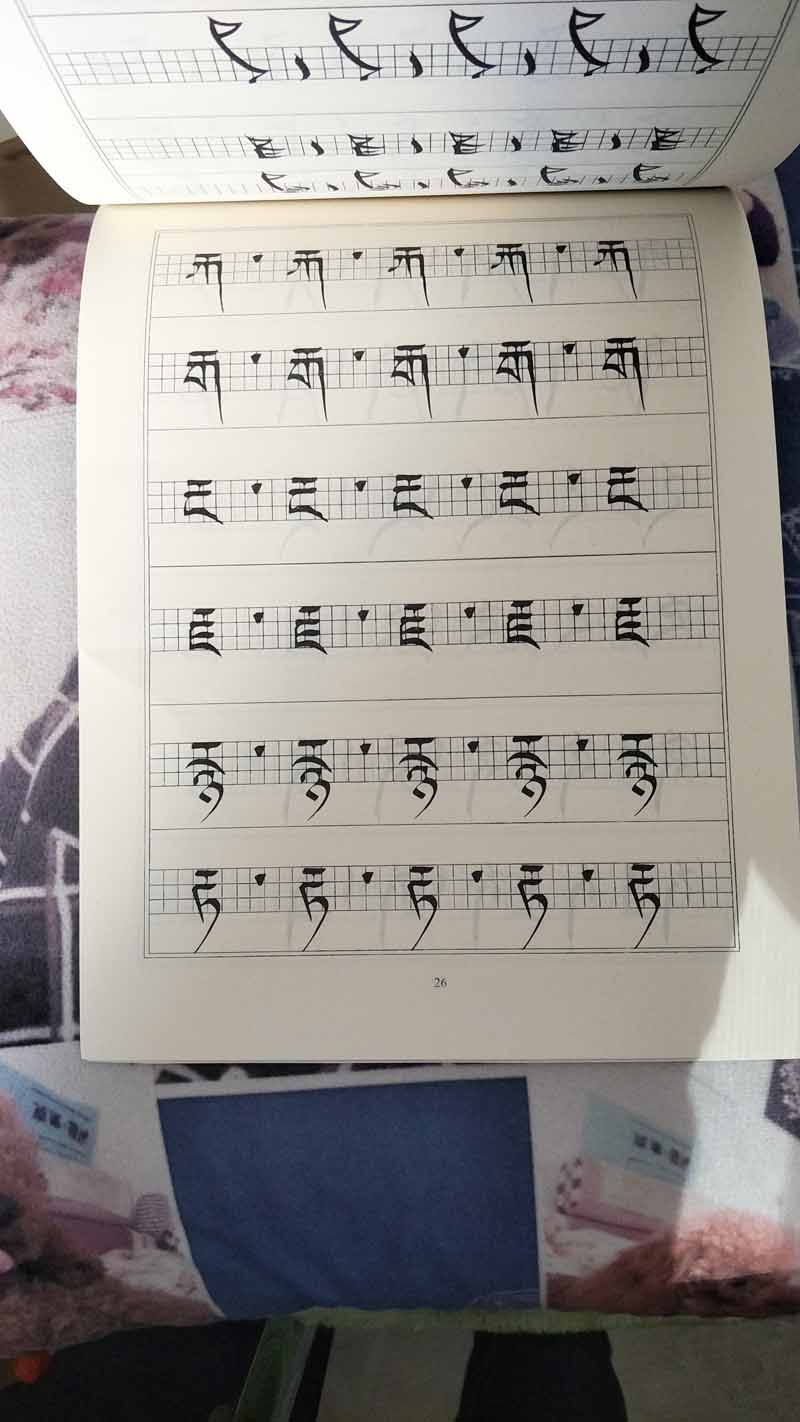 藏文习字本 藏语 书法 字帖 字体 藏族写字本 藏田图书