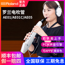 Roland Electric Blowpipe AE01C AE05 Electronic Blowpipe Electric Saxophone Flute Calabash Musical Instrument