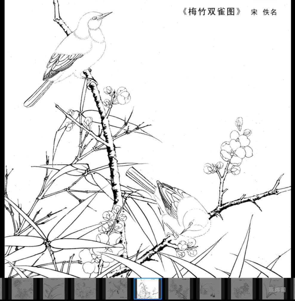 电子版高清工笔宋代花鸟白描底稿线描宋代小品初学临摹素材40张