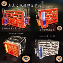 Balcony series Ant Villa ant nest acrylic nest ant ant factory Ant Castle Ant pet