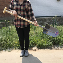 Agricultural strong steel thickened tree shovel large horticultural art excavation hole trench open land outdoor vegetable shovel