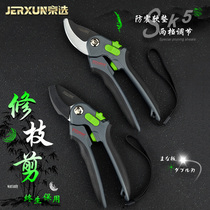 Beijing Option Branch Flower Scissors Garden Scissors Scissors Home Pruning Tree Branches Vegetables Fruit Tree Branches Flower Art Flower Branches Cutting