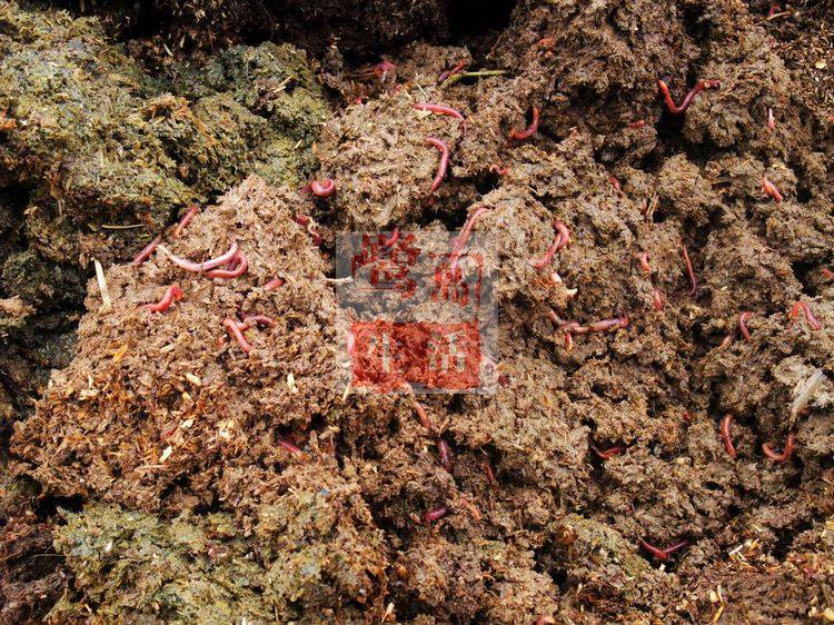 100%纯蚯蚓粪蚯蚓土 有机肥料之王 高纯度低水分种植土花肥营养土