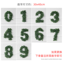 ins wind minimalist Han prints birthday party arrangements male and female babies 1 year 1 year old decoration scene green planting numbers