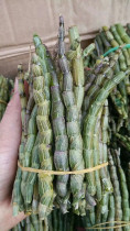 Edible Huoshan seedlings Dendrobium officinale fresh strips short and thick strips tin stone goblet fresh strips 500g 1000g