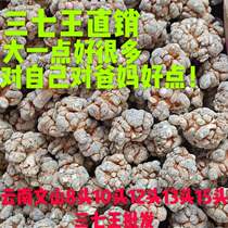New Wenshan Yunnan province san qi si nian seven 8 head 10 head 12 head 14 head 500 grams of Panax notoginseng King direct sectionable