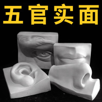 Five senses solid surface plaster image art teaching aids plaster head sculpture plaster sculpture sketch plaster head model