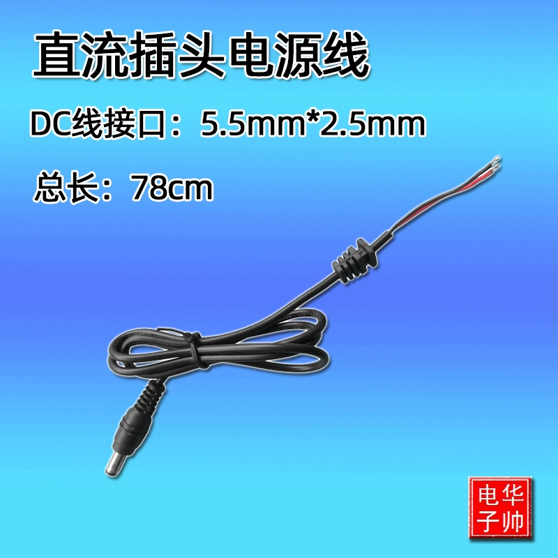 48v xe điện sạc pin lithium cắm sạc dây nguồn DC5.5 * 2.1 giám sát phích cắm điện 12v - Khác