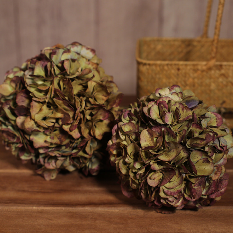 绣球花干花真花家居装饰花束 云南直销风干天然插干花diy花材