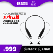 Sebin Alaya 3D Professional Wireless Recording Pen Microphone Bluetooth Headphones Earbuds Shake Live Device