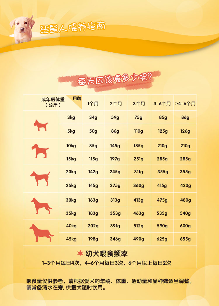 宝路狗粮中型大型犬金毛拉布拉多泰迪通用型哈士奇幼犬两个月狗粮