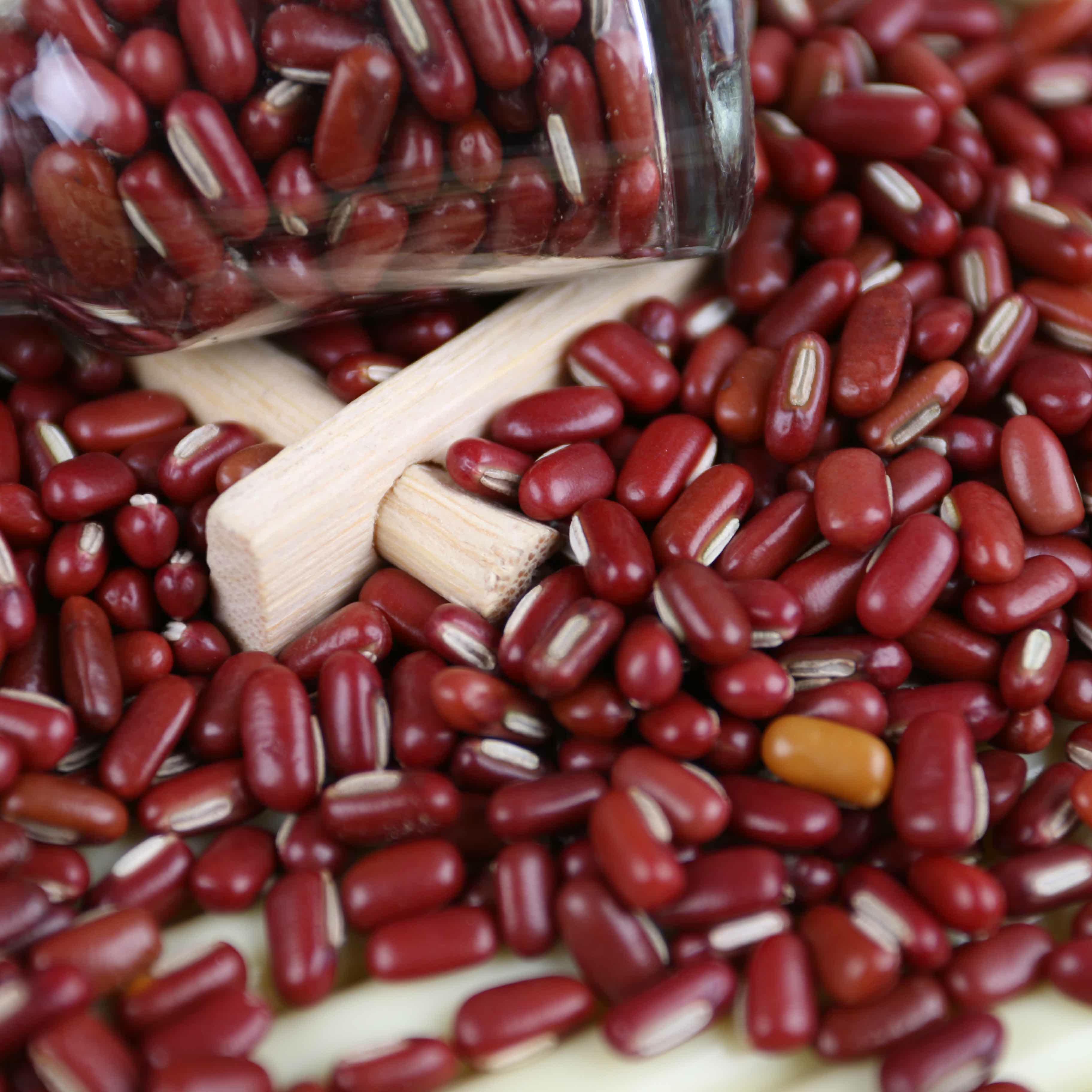 药用 长粒赤小豆新货农家自产优质 可炒赤豆薏米祛湿熟茶粉 500g