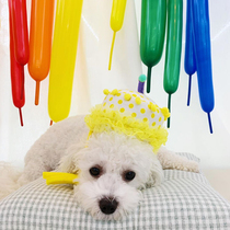 COCOBA Korea ins pet headgear Kitty Headgear Dog Birthday Hat Party Decorate Cute Little Dog