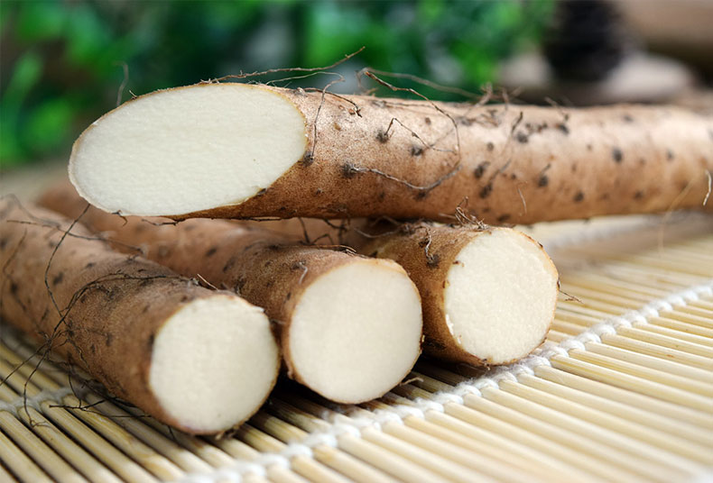 河南特产温县铁棍怀山药正宗铁杆淮山约4斤送1斤实发5斤