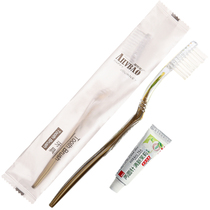 Two-in-one Dentistry Transparent Frosted Plastic Bagged Star Grade Guesthouse Hotel Disposable Items Toothbrush Toothpaste Wholesale