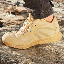 Mens large-size shoes outdoor sand low-light shock absorption non-slip Zhongbang tactical boots wear-resistant combat boots