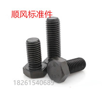 12 9 grade hexagonal screws M6*10 12 12 16 20 25 30 35 40 50 60 60 70 100