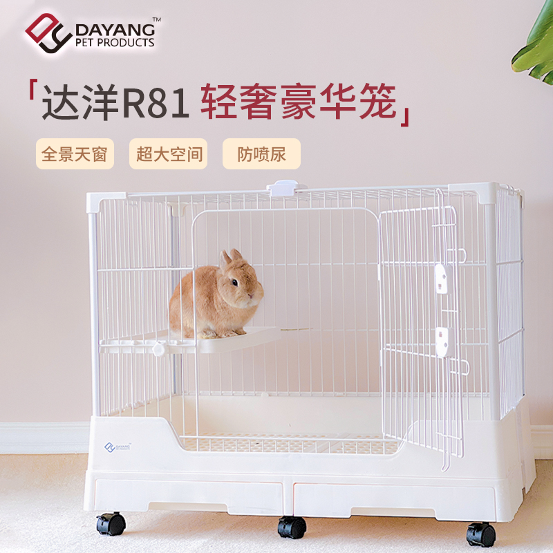 O1CN01sdWUvD2EE9L0CelLo_!!282058712.jpg