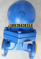 Spak flange trap inlet steam trap inlet steam trap inlet condensate DN25 1 inch