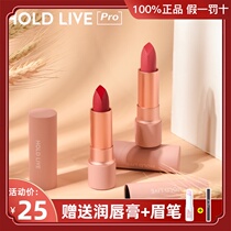 holdlive lipstick niche brand student affordable makeup lip gloss slogan Cream apricot matte big name