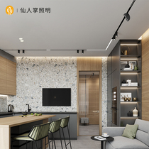 Cactus lighting magnetic track light embedded concealed without main light living room chandelier household LED lighting lamp