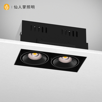 Cactus lighting double-head recessed square borderless spotlight living room main light grille light daring light clothing store