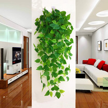 Simulation plant hanging basket green leaf wall wall decoration hanging green plant green leaf rattan fake flower canine green vine