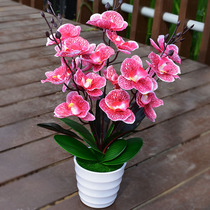 Decorative fake flower simulation flower indoor home dining table coffee table ornaments living room plastic bouquet Phalaenopsis small potted