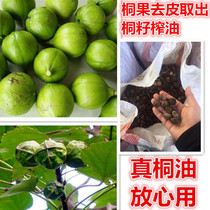 Xiaos cooked Tung oil Raw Tung oil Wood furniture doors and windows floor Waterproof insect-proof anti-corrosion quality and quantity cooked Tung oil