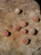 Closense {maruko} 디자이너의 Sunstone Earrings Silver 구멍이없는 단순한 여름 복장 Closense {maruko} 디자이너의 Sunstone Earrings Silver 구멍이없는 단순한 여름 복장