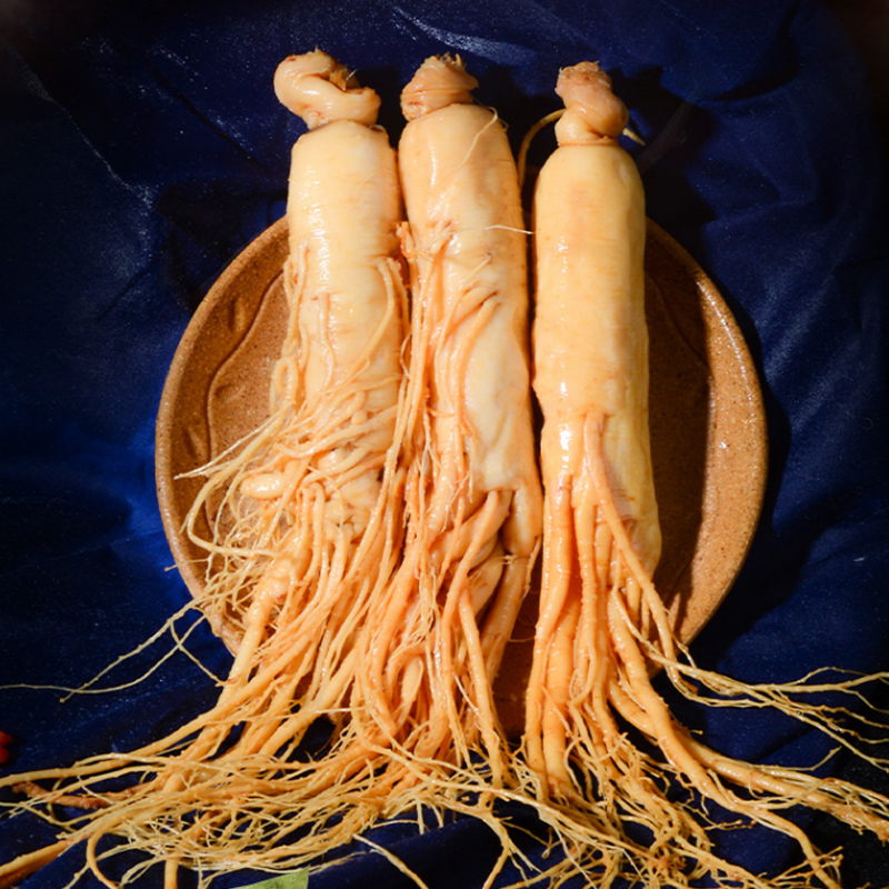 人参长白山高龄人参10g整支