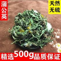 Wild Dandelion mother-in-law Ding Whole plant soaked in water without sulfur-free seasonal new dry Chinese herbal medicine selection 500g