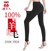 Sheep Boss cotton pants 100% All wool slim fit wool pants Woman Modale swarm with underpants warm pants WKA210