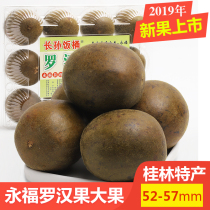 Luo Han Guo 10 large dried fruits 52-57mm gift box Guangxi Guilin Yongfu specialty premium Luo Han Guo tea
