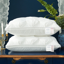 Twist Flowers Full Cotton Pillow Adult Plume Suede Single Pillow Core Soft Comfort Neck Pillow Inner single to fit a pair of beats 2