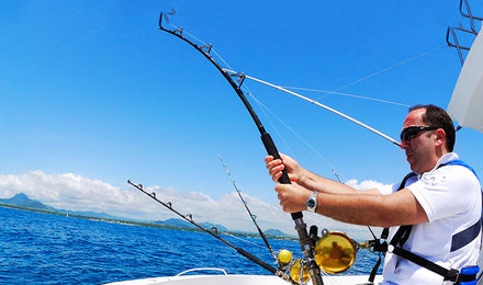 海的味道鱼知道,海钓的味道你知道