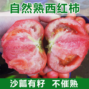 现摘沙瓤自然熟西红柿番茄新鲜水果蔬菜孕妇儿童农家洋柿子5斤装