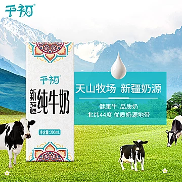 产品名称：千初新疆纯牛奶原味生牛乳全脂纯牛奶网红办公早餐奶200ml*12*2箱[25元优惠券]-寻折猪