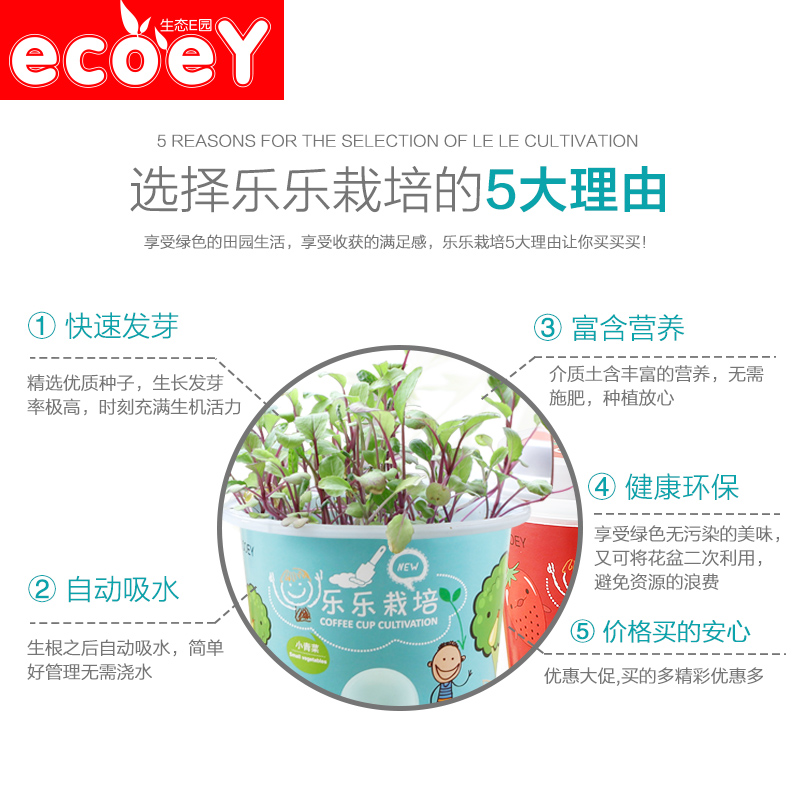 ECOEY迷你盆栽创意蔬果种植DIY水培植物办公桌植栽成人儿童小农场产品展示图4