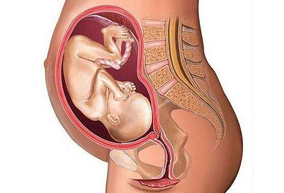 宝贝入盆了吗?"入盆"到底是什么体验