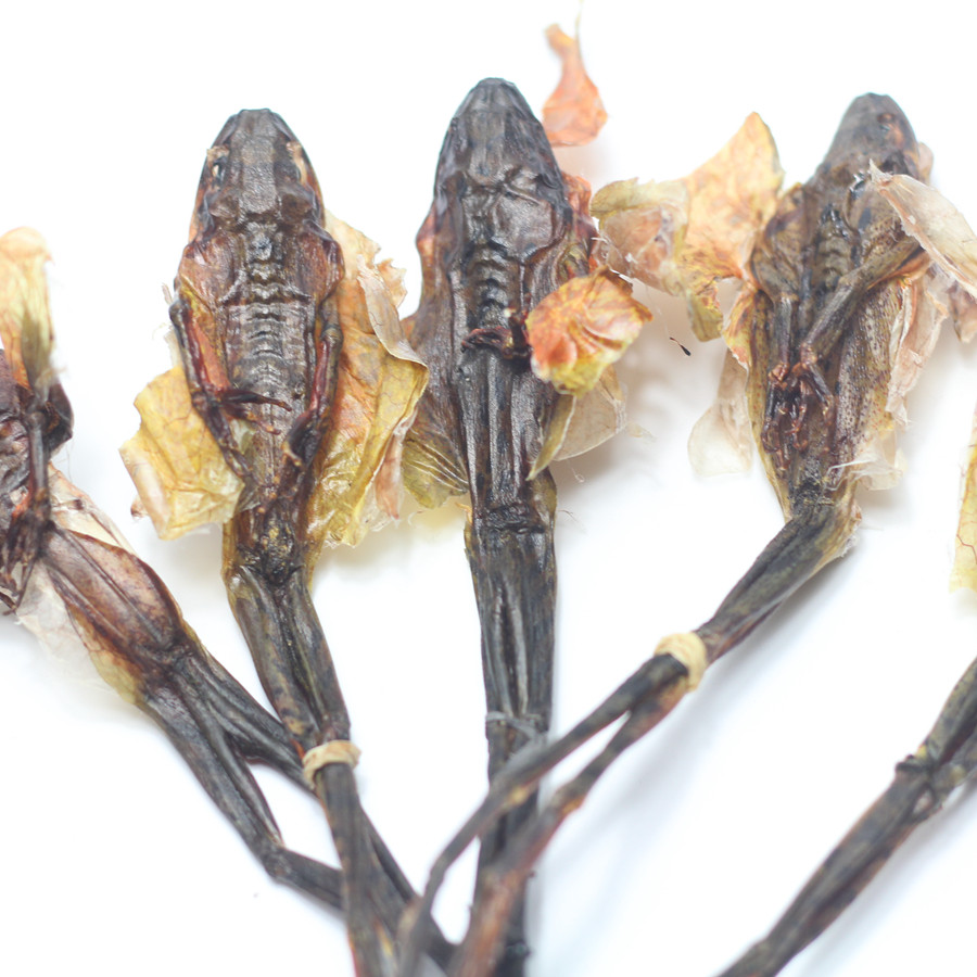 【山水间】长白山正品林蛙皮 雪蛤皮 煲汤炖土豆 500克 满2包邮