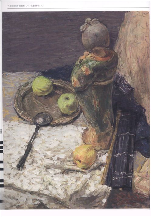 完美教学系列丛书色彩静物