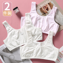 11 Girls underwear small vest development period 13-year-old cotton primary school student first stage girl vest 10 middle and large children