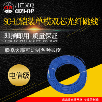 Chuanzheng Optoelectronics SC-LC armored single-mode dual-core fiber jumper LC-SC transceiver pigtail standard carrier grade